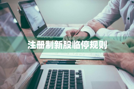 注册制新股临停规则
