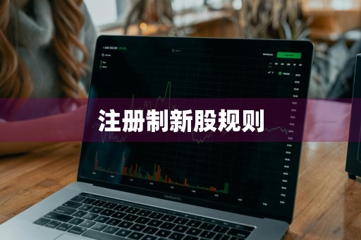 注册制新股规则