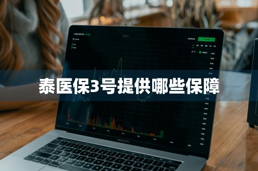 泰医保3号提供哪些保障