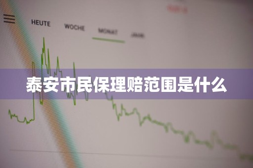 泰安市民保理赔范围是什么