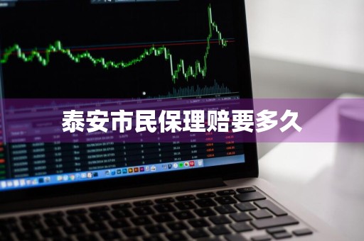 泰安市民保理赔要多久