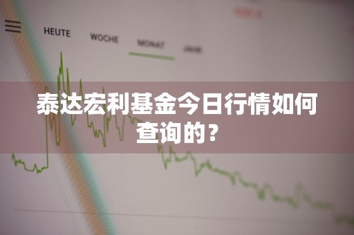 泰达宏利基金今日行情如何查询的？