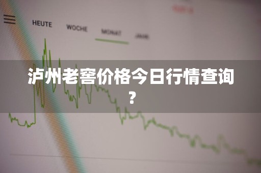 泸州老窖价格今日行情查询？