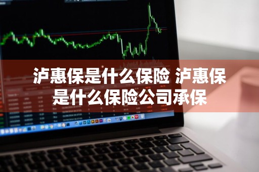 泸惠保是什么保险 泸惠保是什么保险公司承保