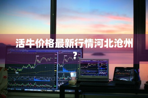 活牛价格最新行情河北沧州？