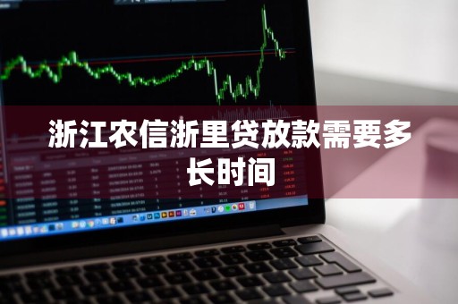 浙江农信浙里贷放款需要多长时间