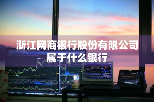 浙江网商银行股份有限公司属于什么银行