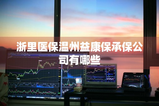 浙里医保温州益康保承保公司有哪些
