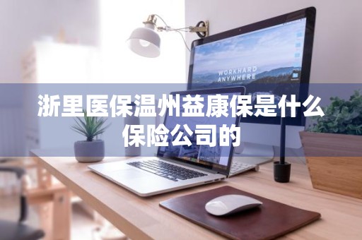浙里医保温州益康保是什么保险公司的