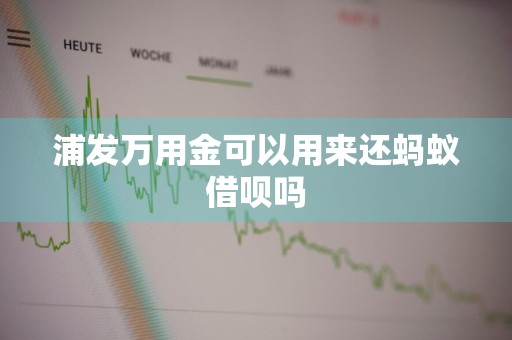 浦发万用金可以用来还蚂蚁借呗吗