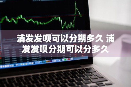浦发发呗可以分期多久 浦发发呗分期可以分多久