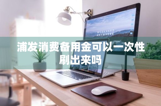 浦发消费备用金可以一次性刷出来吗
