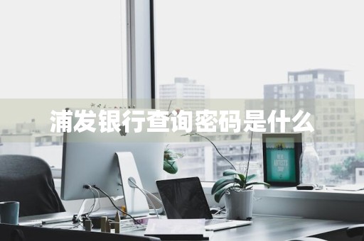 浦发银行查询密码是什么