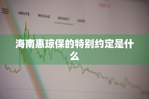 海南惠琼保的特别约定是什么
