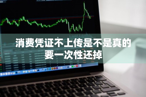 消费凭证不上传是不是真的要一次性还掉