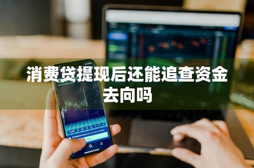 消费贷提现后还能追查资金去向吗