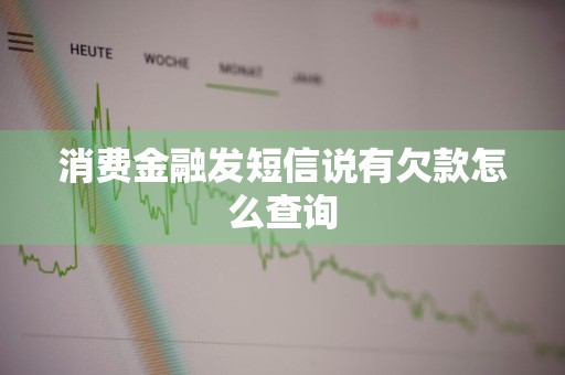 消费金融发短信说有欠款怎么查询