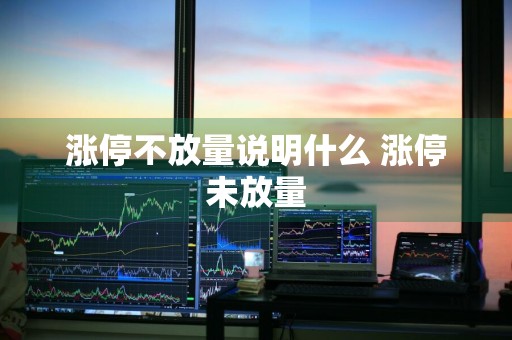 涨停不放量说明什么 涨停未放量