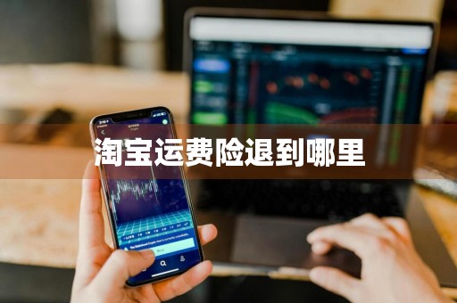 淘宝运费险退到哪里
