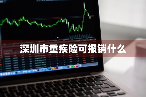 深圳市重疾险可报销什么