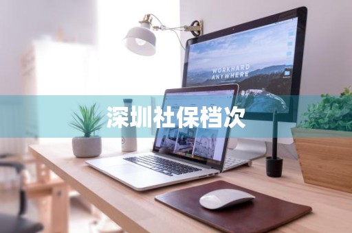 深圳社保档次