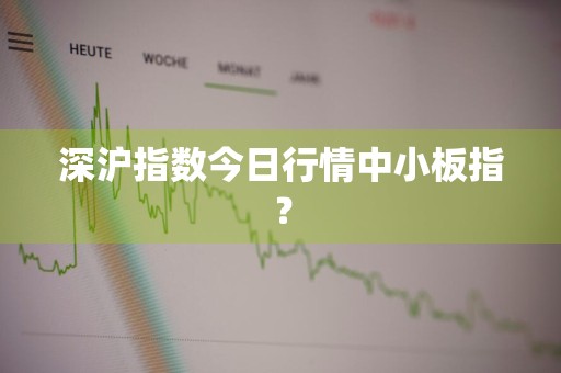 深沪指数今日行情中小板指？
