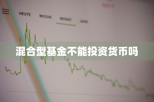 混合型基金不能投资货币吗