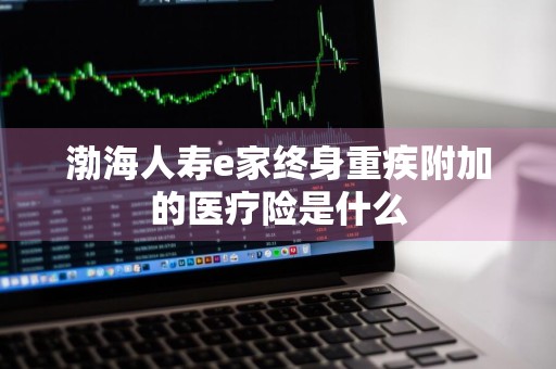 渤海人寿e家终身重疾附加的医疗险是什么