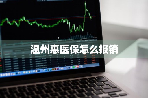 温州惠医保怎么报销