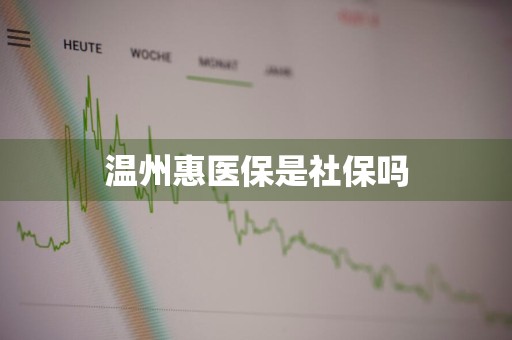 温州惠医保是社保吗