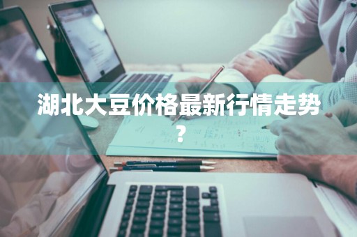 湖北大豆价格最新行情走势？