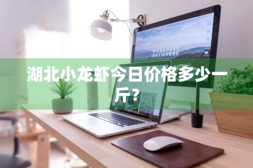 湖北小龙虾今日价格多少一斤？