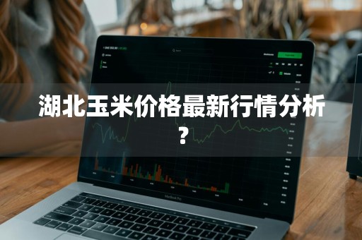 湖北玉米价格最新行情分析？