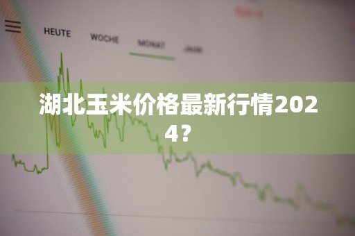 湖北玉米价格最新行情2024？