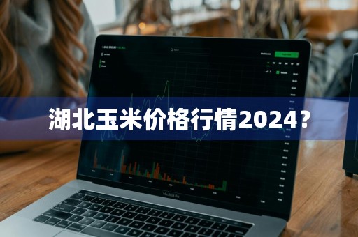 湖北玉米价格行情2024？