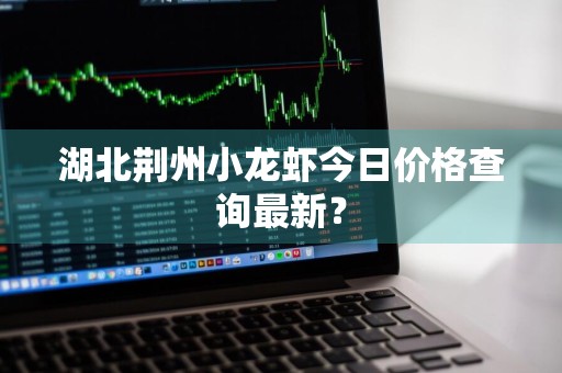 湖北荆州小龙虾今日价格查询最新？