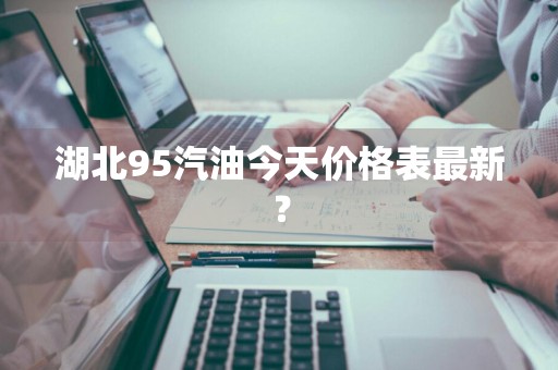湖北95汽油今天价格表最新？