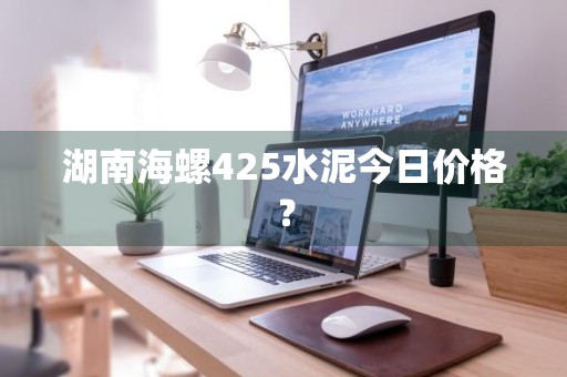 湖南海螺425水泥今日价格？