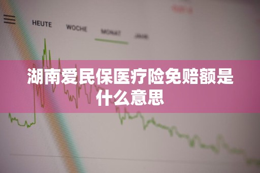 湖南爱民保医疗险免赔额是什么意思