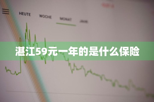 湛江59元一年的是什么保险