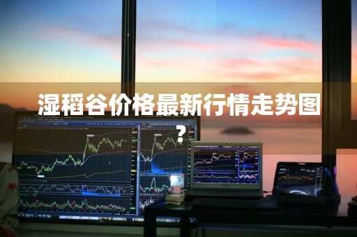 湿稻谷价格最新行情走势图？