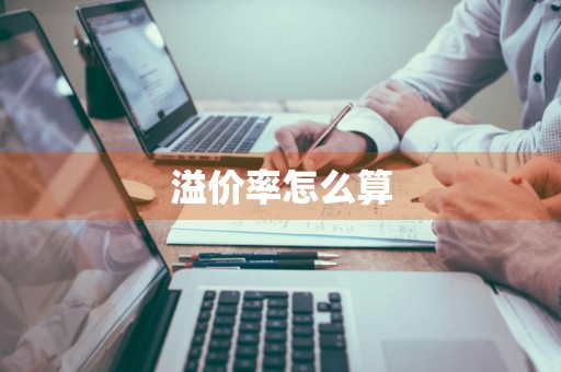 溢价率怎么算