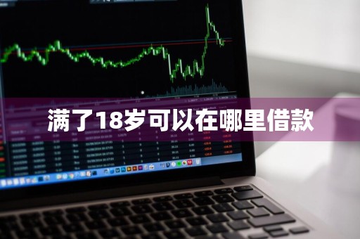 满了18岁可以在哪里借款