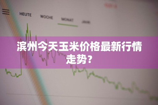 滨州今天玉米价格最新行情走势?