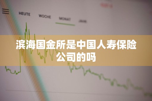 滨海国金所是中国人寿保险公司的吗