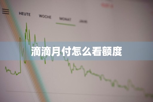 滴滴月付怎么看额度