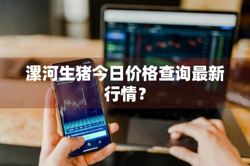 漯河生猪今日价格查询最新行情？