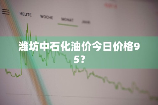 潍坊中石化油价今日价格95？