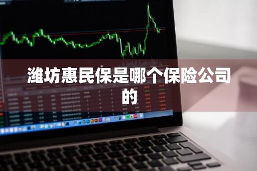 潍坊惠民保是哪个保险公司的
