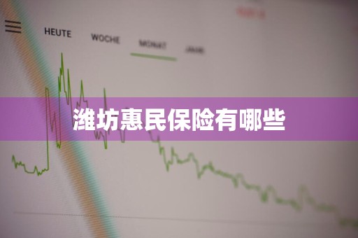 潍坊惠民保险有哪些